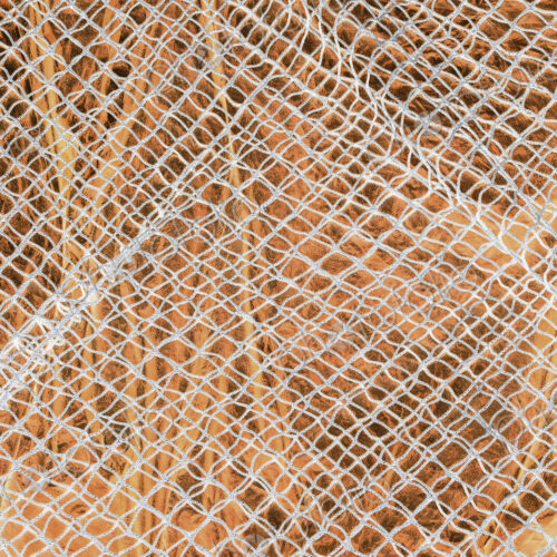 Detail of commercial fish net covering tarpaulin