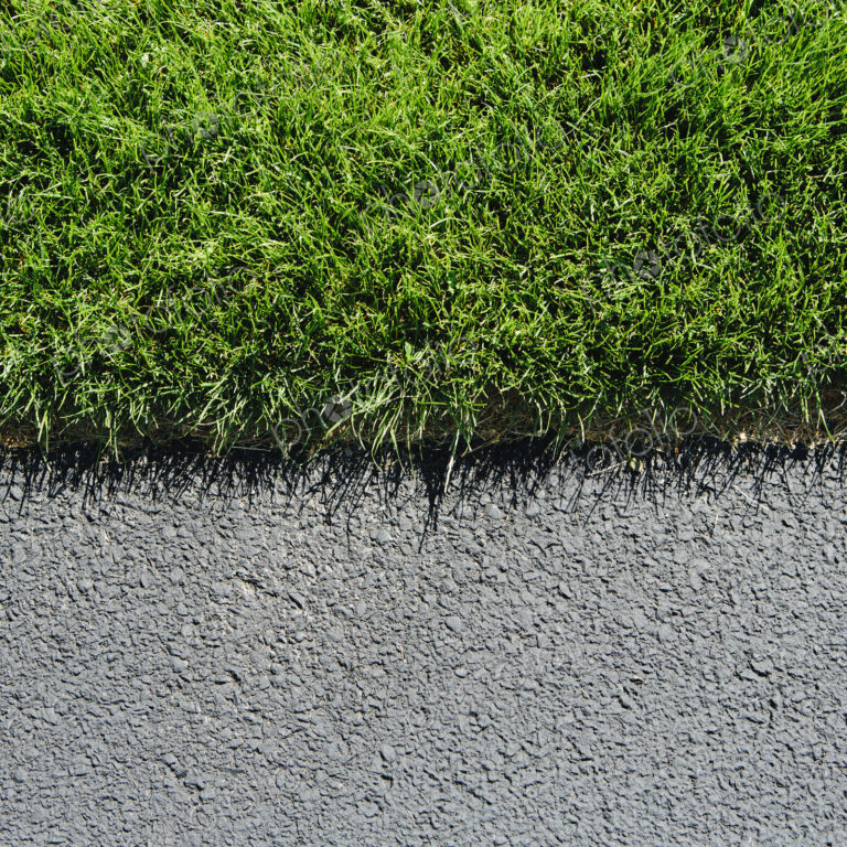 Detail of lush, green grass and sidewalk, near Quincy