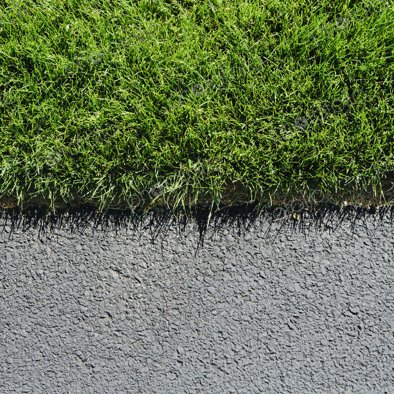 Detail of lush, green grass and sidewalk, near Quincy