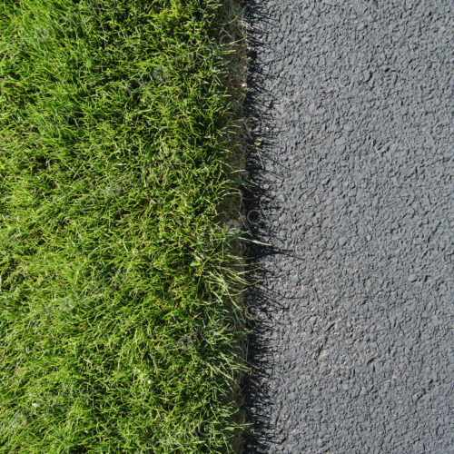 Detail of lush, green grass and sidewalk, near Quincy Detail of lush, green grass and sidewalk, near Quincy