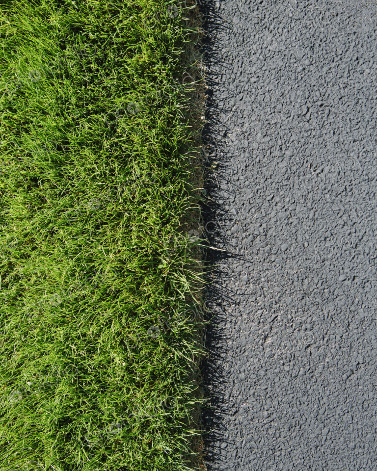 Detail of lush, green grass and sidewalk, near Quincy
