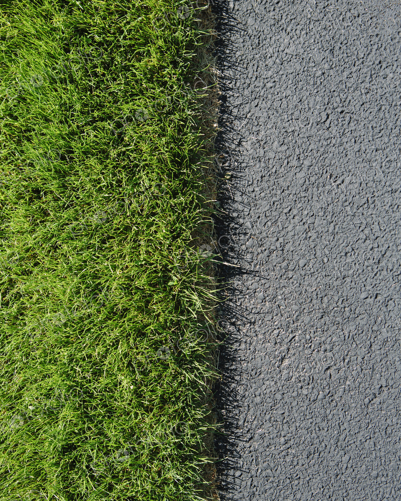 Detail of lush, green grass and sidewalk, near Quincy