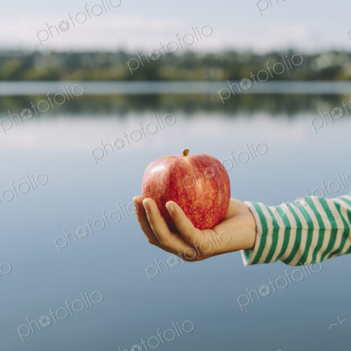Detail of nine year old girl holding organic apple Detail of nine year old girl holding organic apple