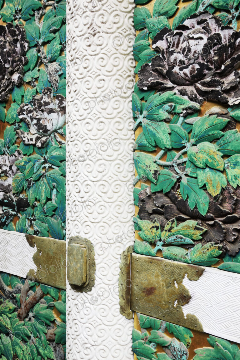 Detail on an Ornamental Door