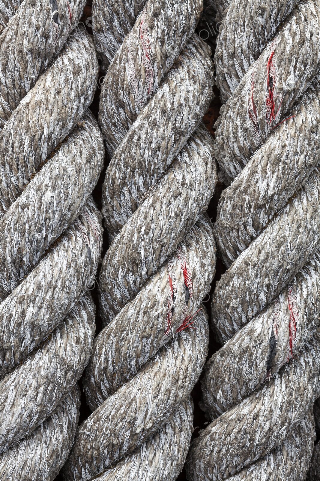 Detailed close-up of thick, weathered rope at a marina in Bandon, Oregon, showing…