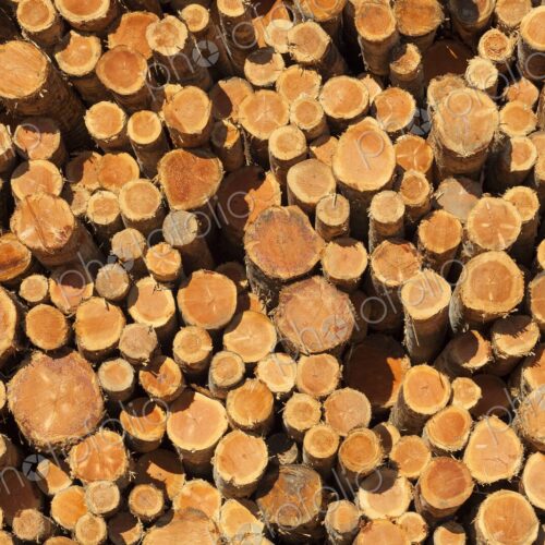 Detailed view of freshly cut logs stacked for lumber at a mill in Coos Bay, Oregon.