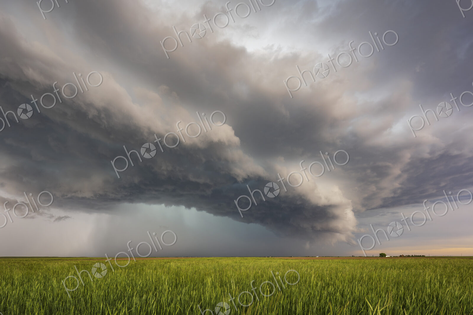 Developing Mesocyclone Supercell, a cloud formation above the ground, over cornfields.