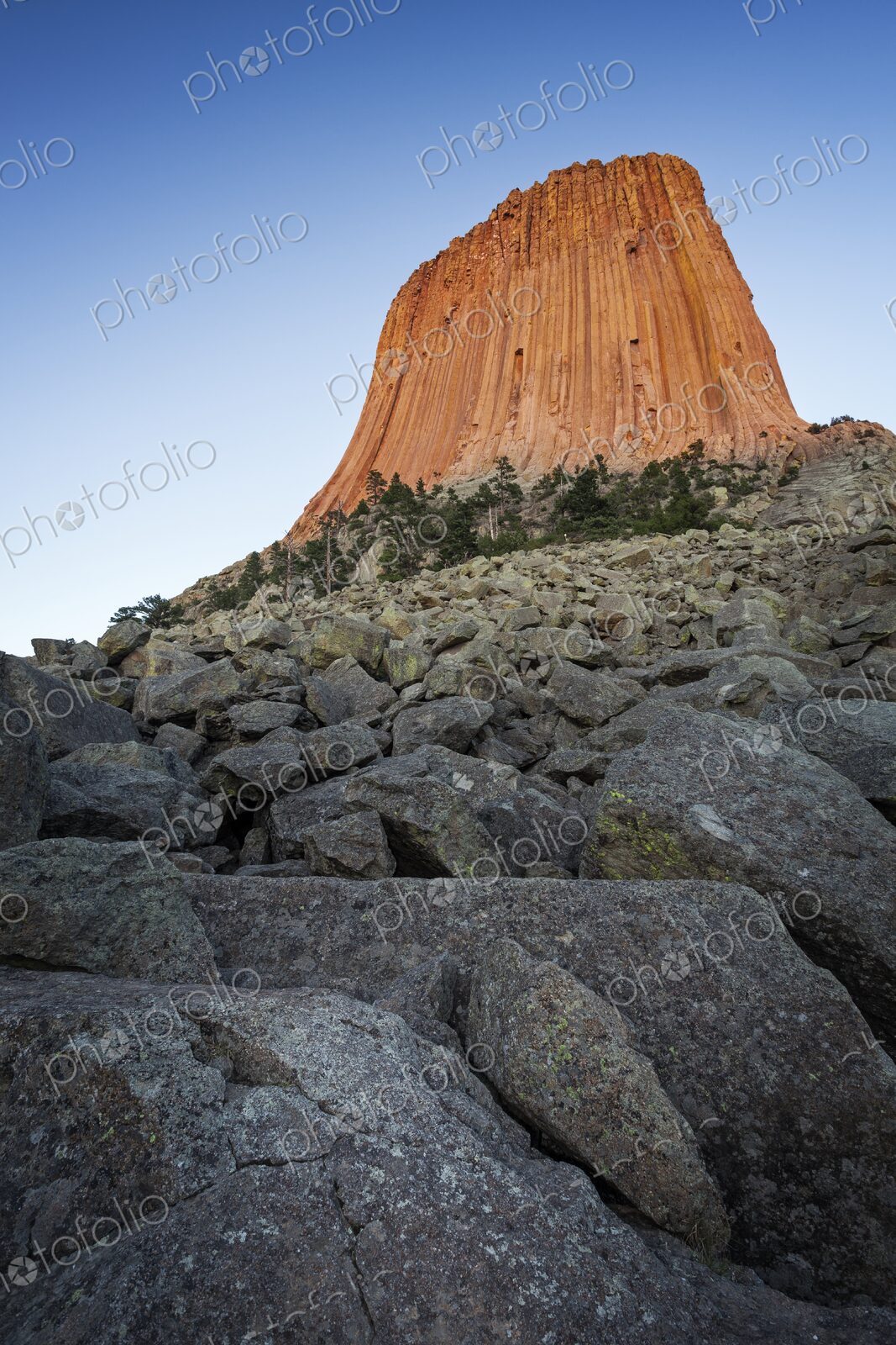 Devil’s Tower glows orange in the evening light, rising above rocky slopes and pine…
