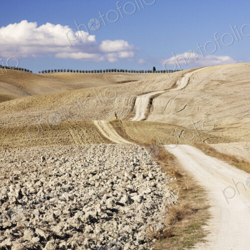 Dirt Road
