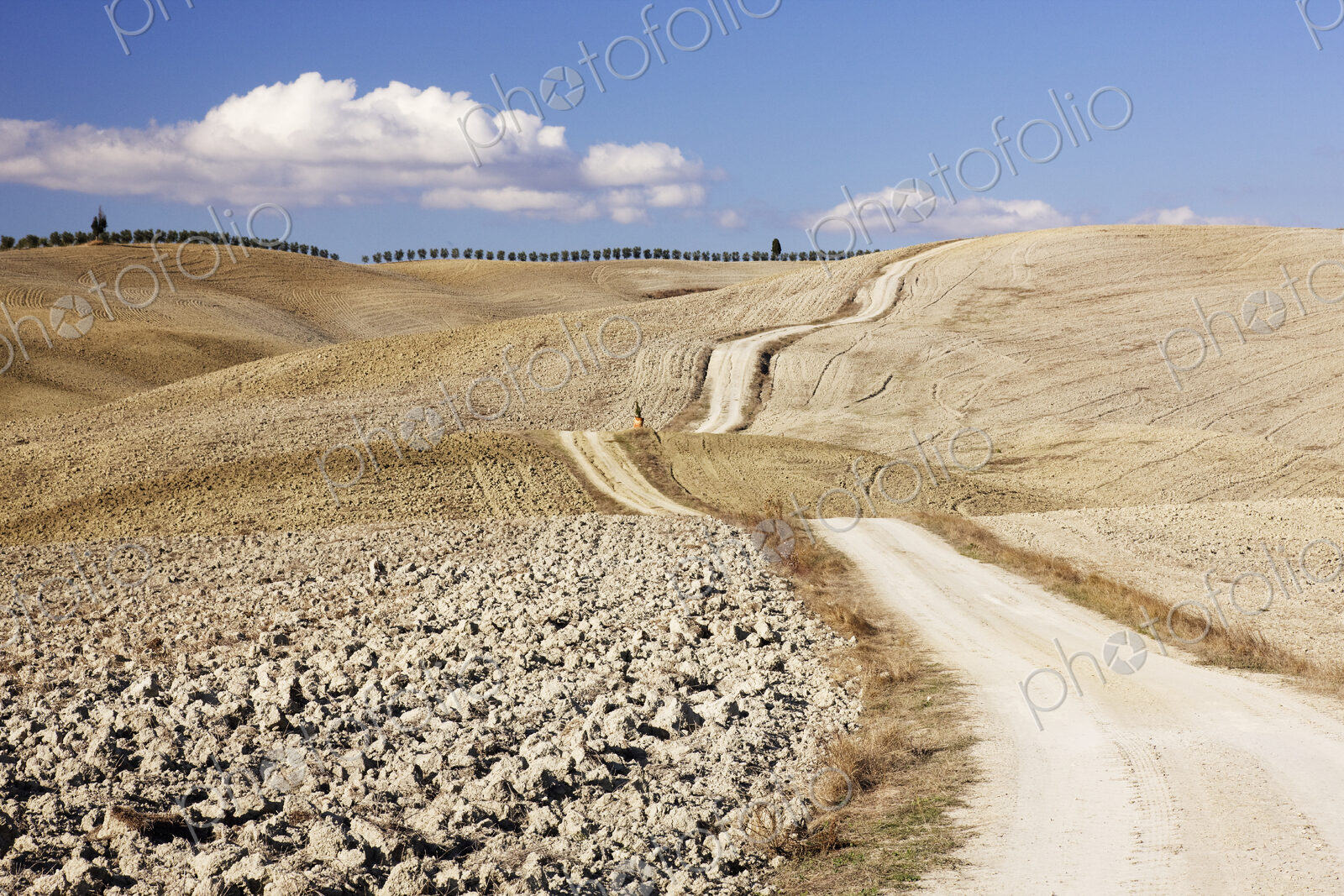 Dirt Road