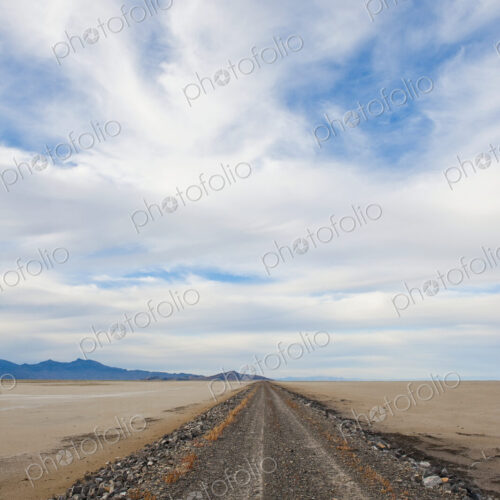Dirt Road in Desert Dirt Road in Desert
