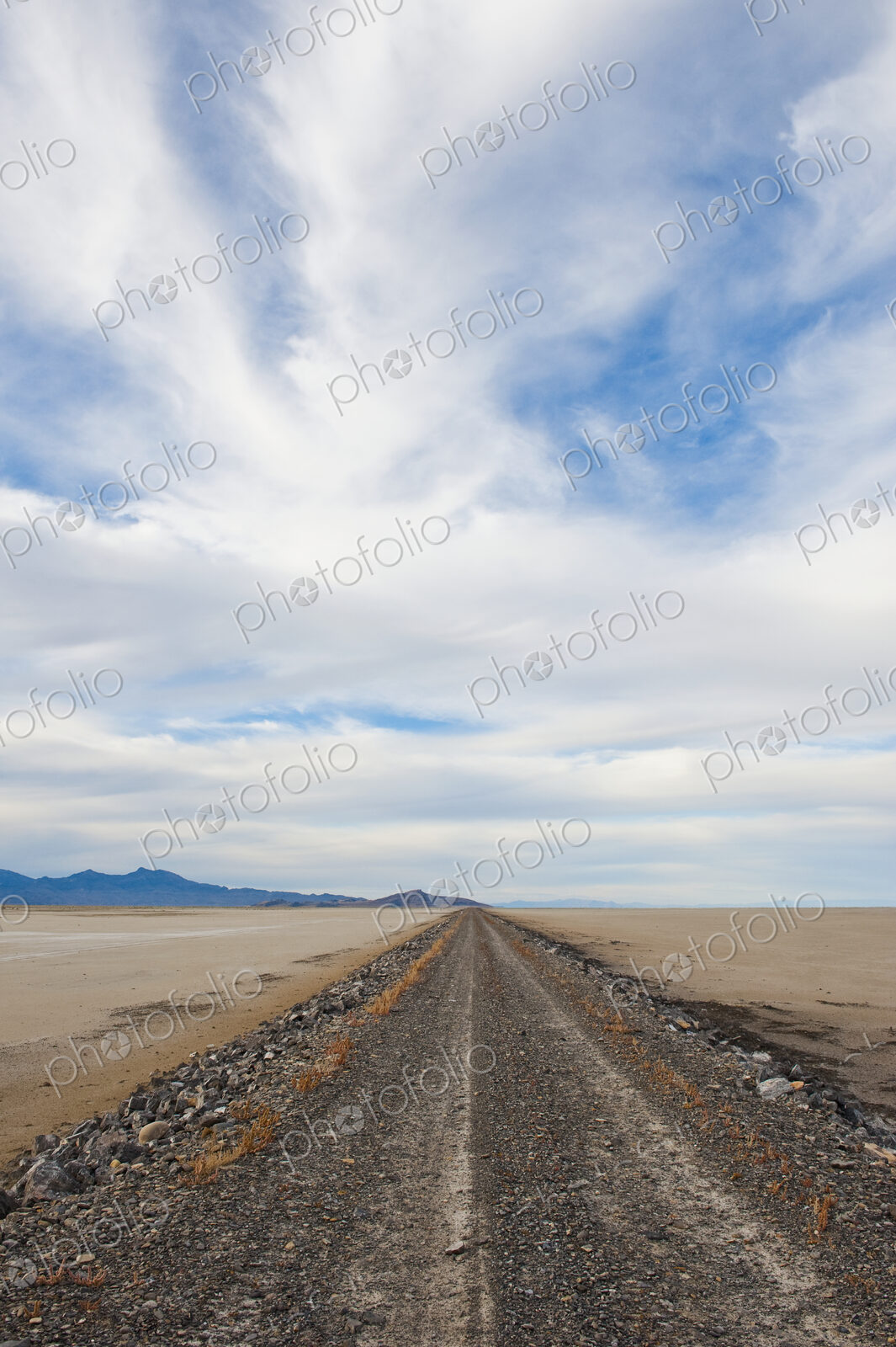 Dirt Road in Desert