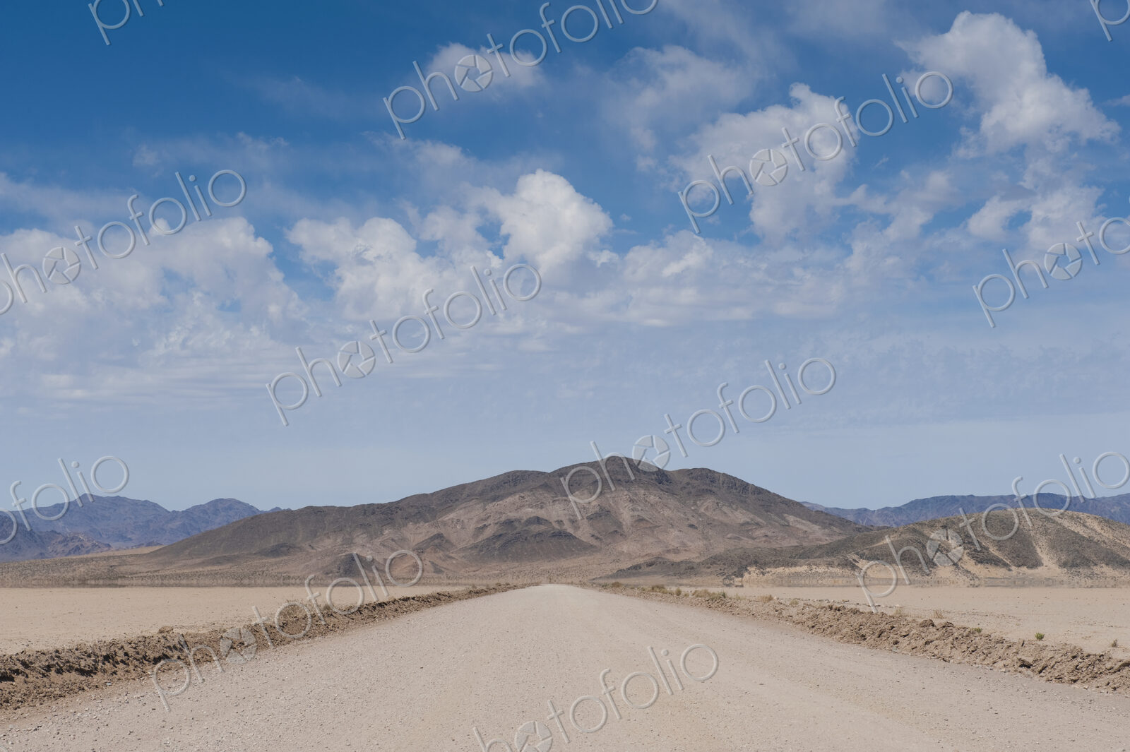 Dirt Road in the Desert