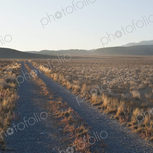 Dirt Road in the Middle of the Desert