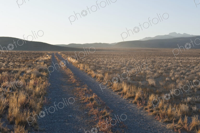 Dirt Road in the Middle of the Desert