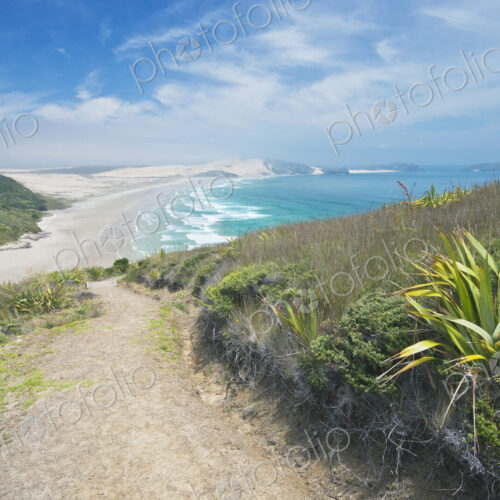 Dirt path on coastal hillside, Te Werahi, Cape Reinga, New Zealand