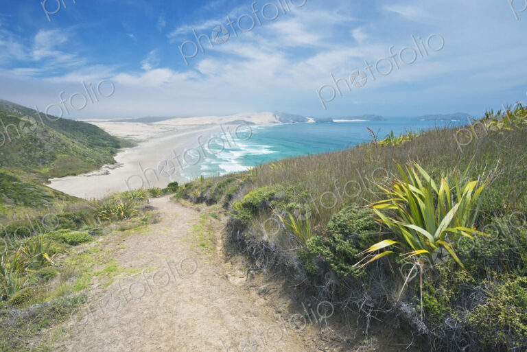 Dirt path on coastal hillside, Te Werahi, Cape Reinga, New Zealand