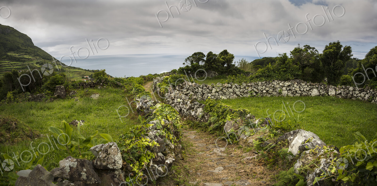 Dirt path through rural fields