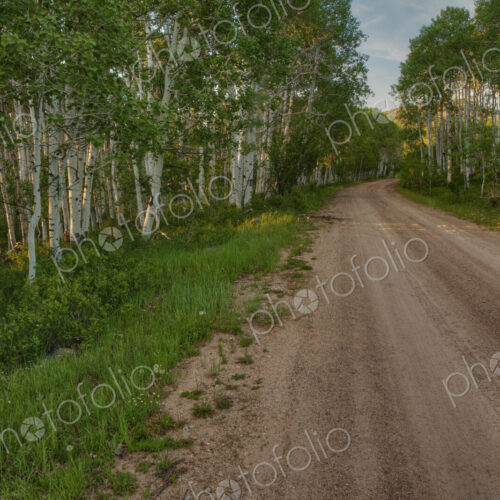 Dirt road in rural landscape Dirt road in rural landscape