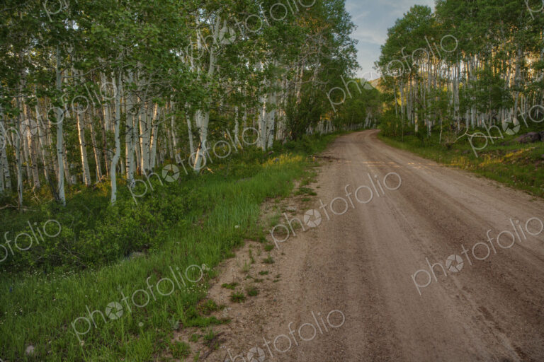 Dirt road in rural landscape