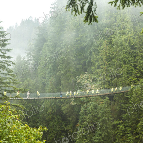 Distant view of group of people crossing suspension footbridge over forest tree canopy. Distant view of group of people crossing suspension footbridge over forest tree canopy.