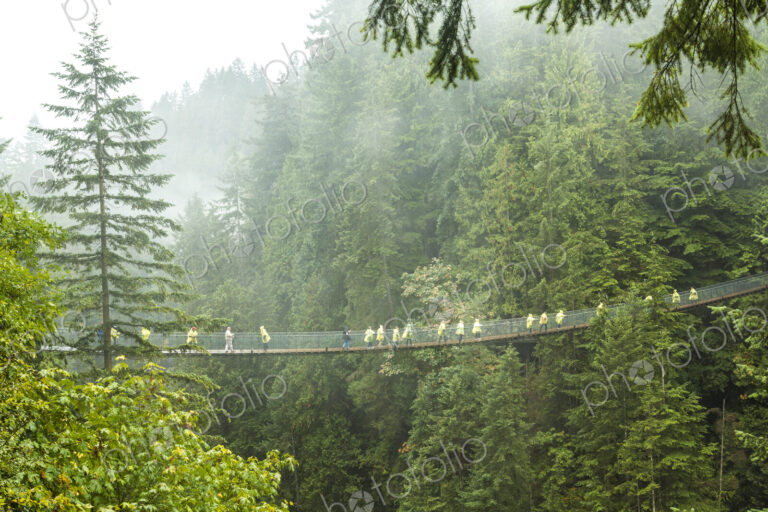 Distant view of group of people crossing suspension footbridge over forest tree canopy.