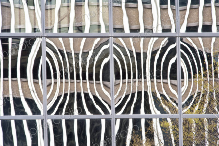 Distorted Window Reflection