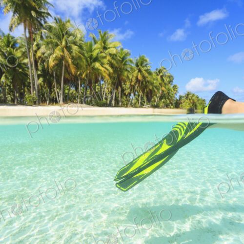 Diver's fins in tropical water, Bora Bora, French Polynesia Diver's fins in tropical water, Bora Bora, French Polynesia