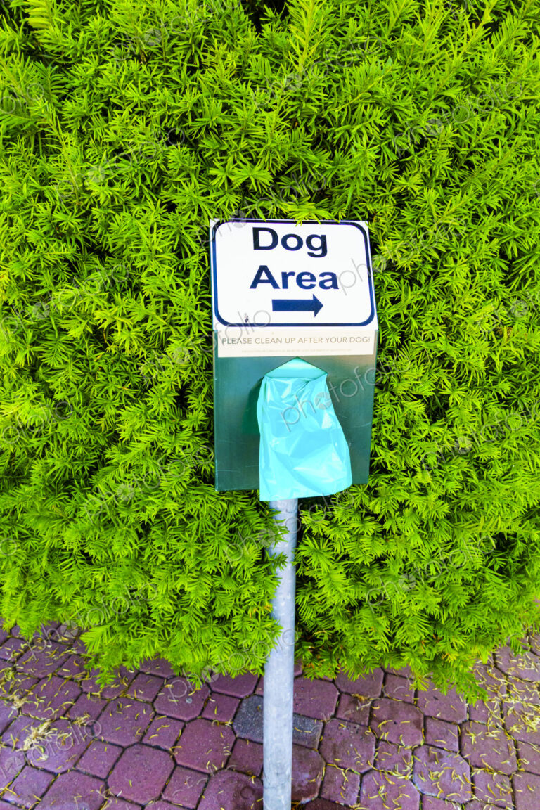 Dog Poop disposal bag dispenser, in a public park.