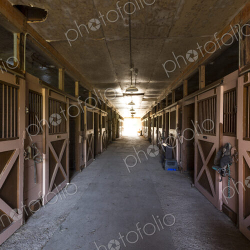 Doors in horse stable Doors in horse stable