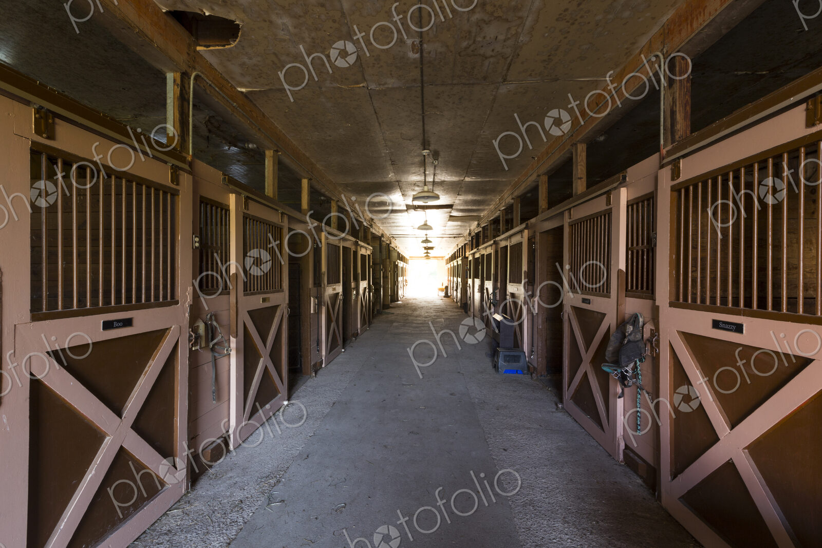 Doors in horse stable