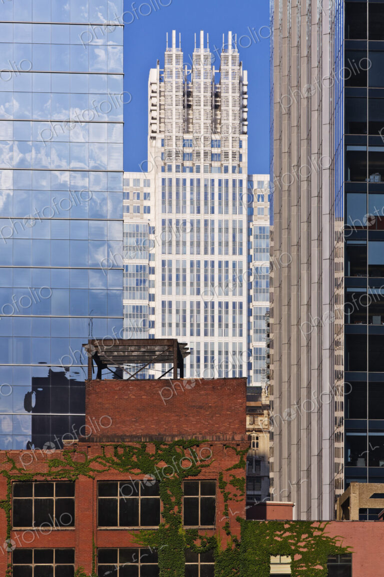Downtown Chicago Buildings