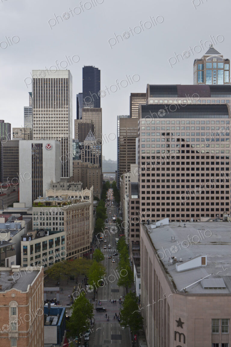 Downtown Seattle Skyline