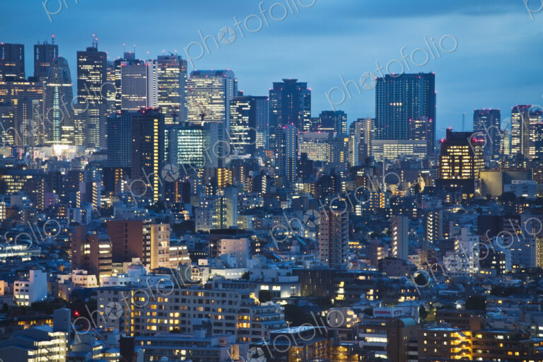 Downtown Tokyo skyline at dusk.