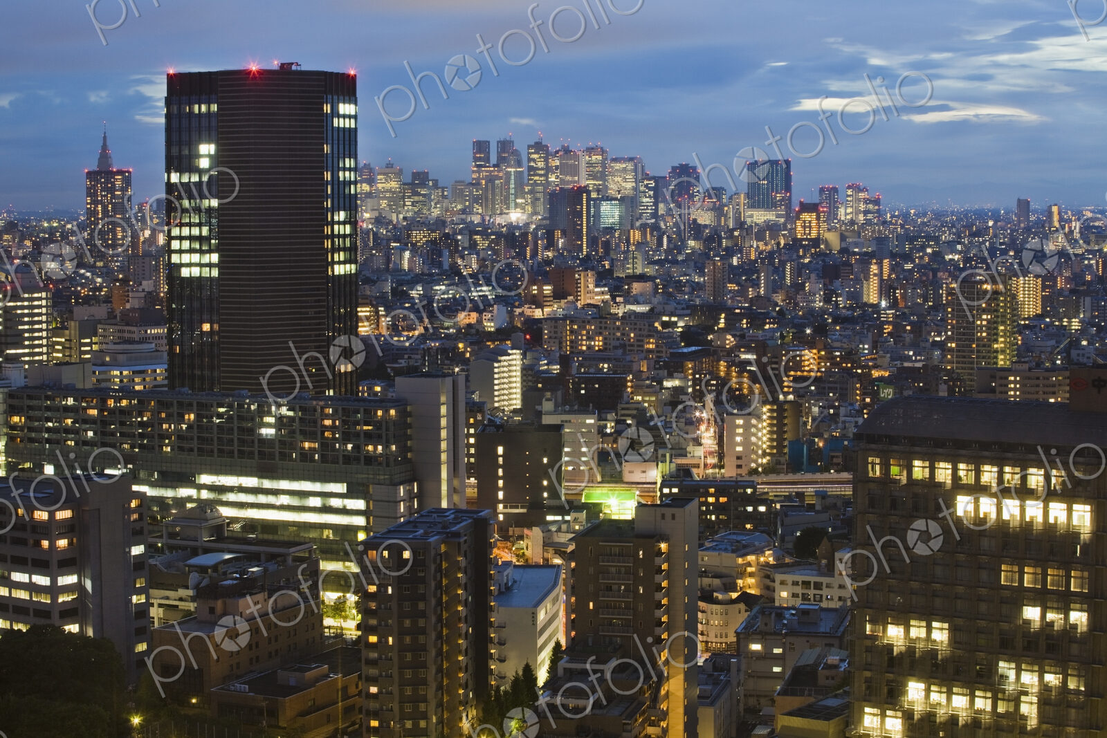 Downtown Tokyo skyline at dusk.