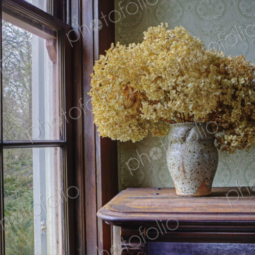 Dried flowers in a vase on a shelf by a window.