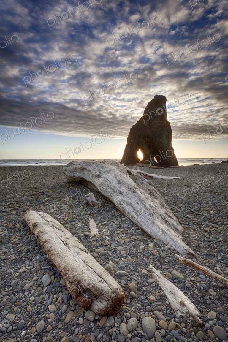Driftwood and sea stack at Ruby Beach on the Olympic Peninsula, Washington, with…