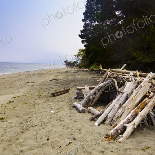 Driftwood hut on Marrowstone Island. Driftwood hut on Marrowstone Island.