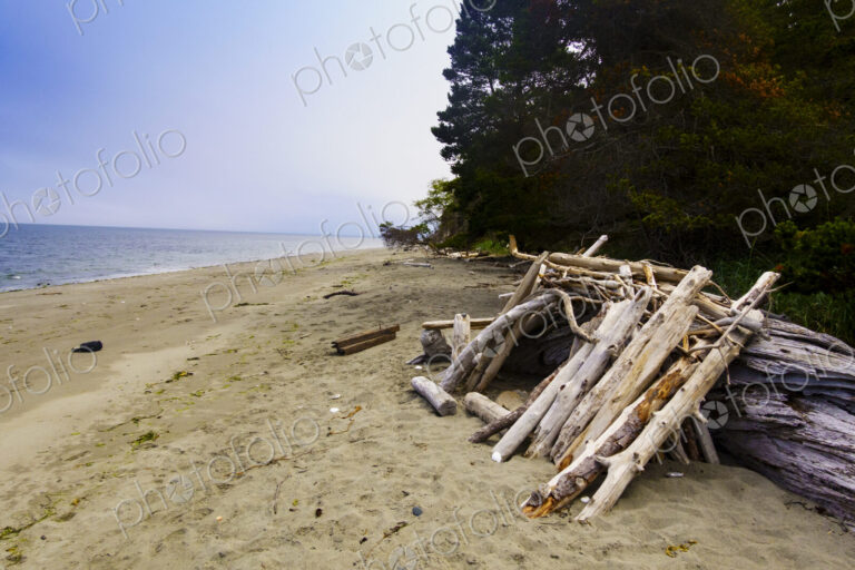 Driftwood hut on Marrowstone Island.