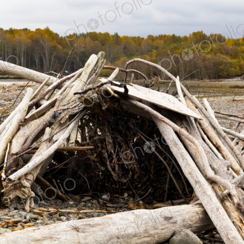 Driftwood shack on the beach, the Olympic Peninsula. Driftwood shack on the beach, the Olympic Peninsula.