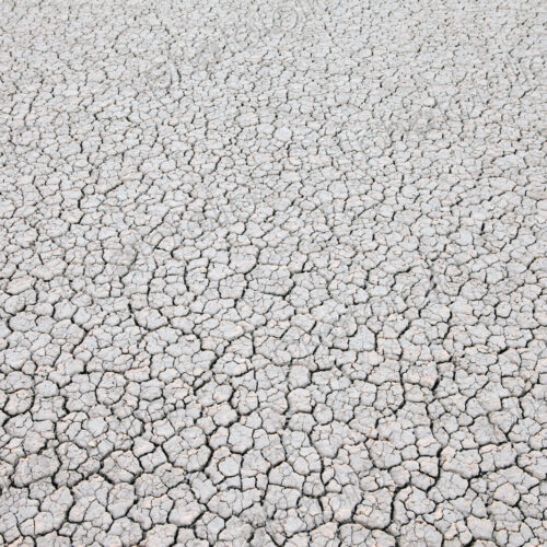 Dry cracked desert surface, Black Rock Desert in Nevada, USA