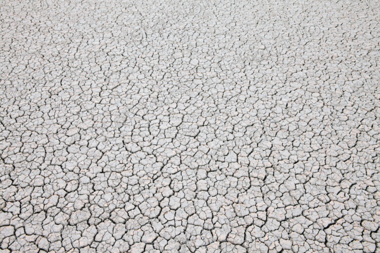 Dry cracked desert surface, Black Rock Desert in Nevada, USA