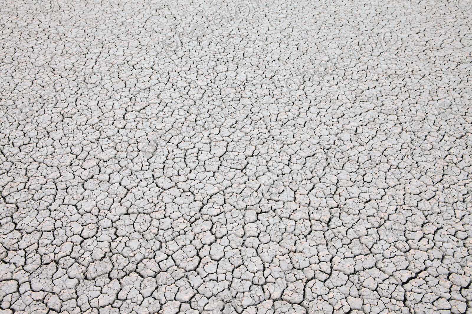 Dry cracked desert surface, Black Rock Desert in Nevada, USA
