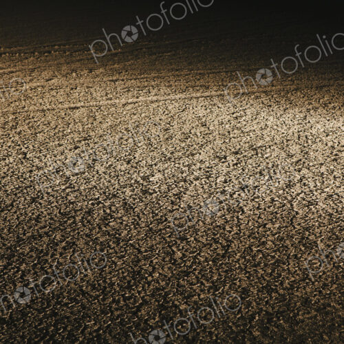 Dry cracked desert surface, at night in Black Rock Desert in Nevada, USA