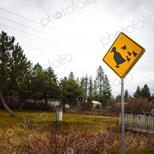 Duck crossing sign, Spokane, WA, USA Duck crossing sign, Spokane, WA, USA