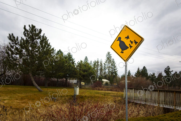 Duck crossing sign, Spokane, WA, USA