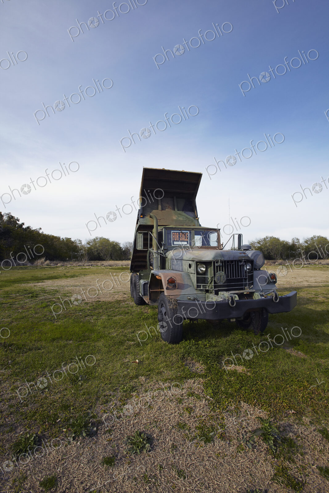 Dump Truck for Sale