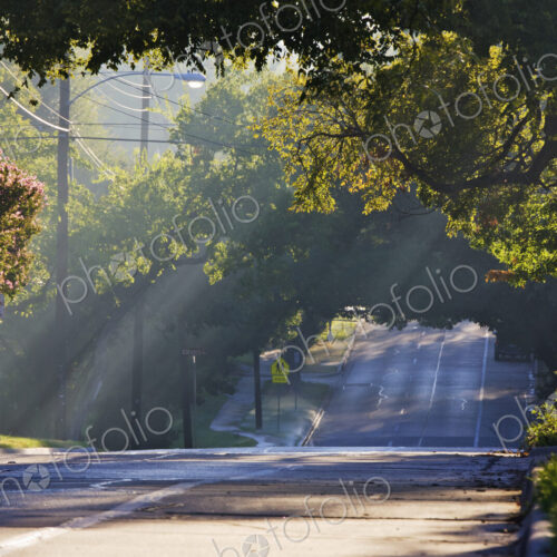 Early Morning Street Scene Early Morning Street Scene