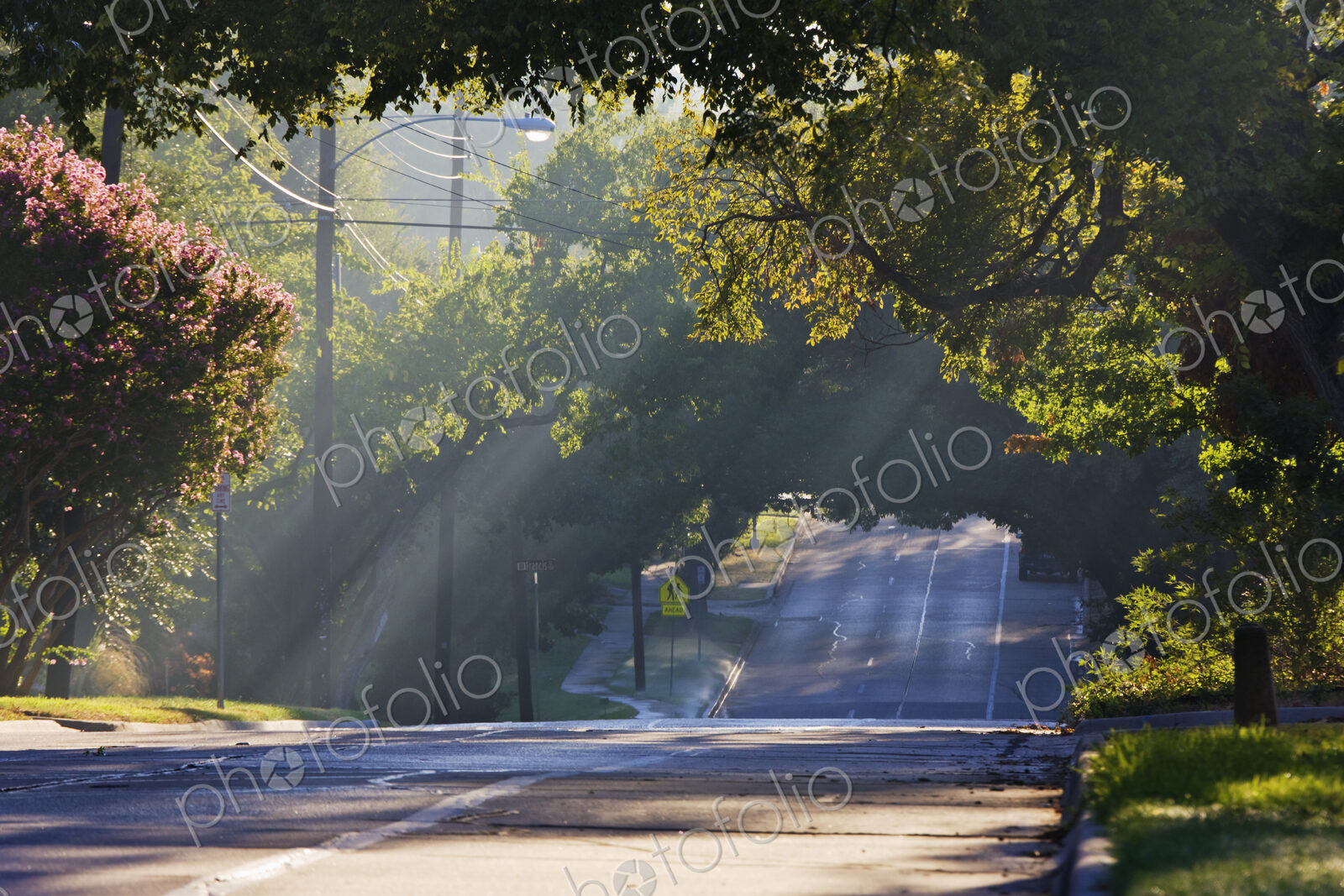 Early Morning Street Scene
