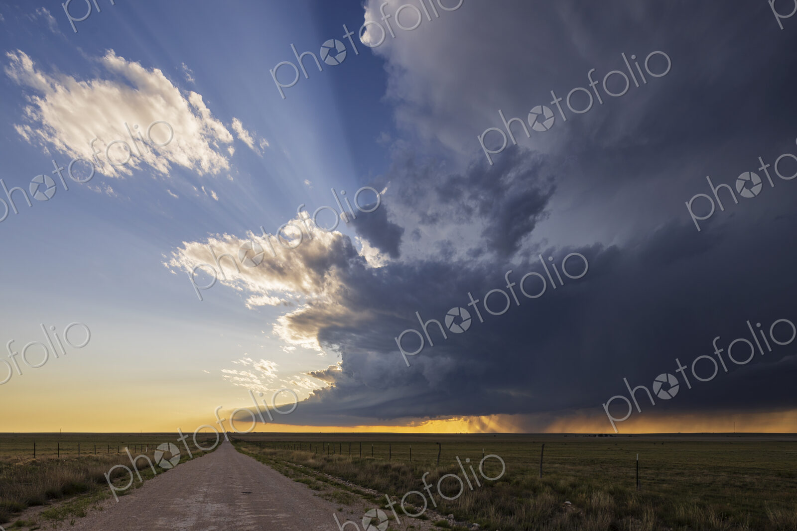 Early Stages in the Formation of the Amistad Mothership Supercell;